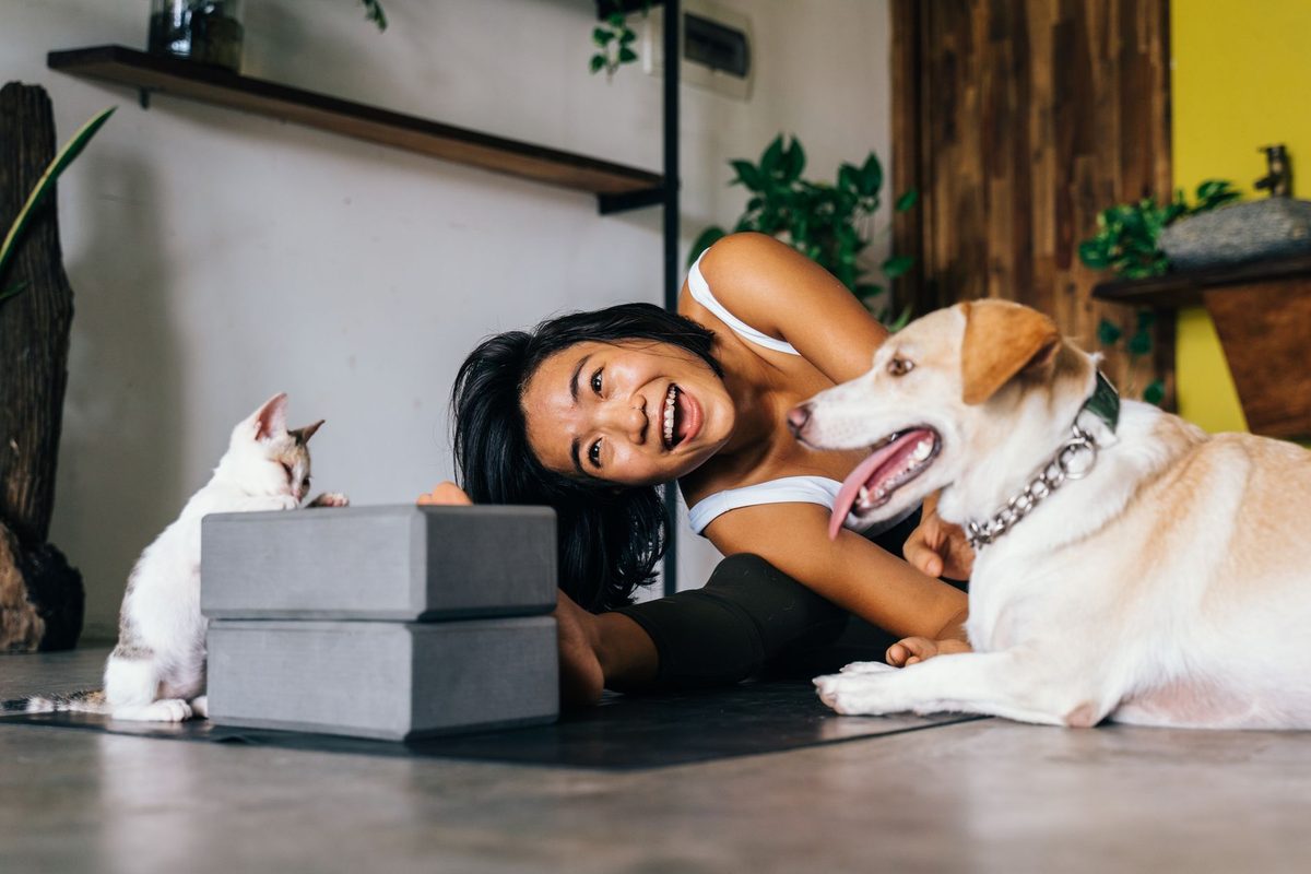 Shopify Pet Products Conversion Rate Benchmarks (2026)