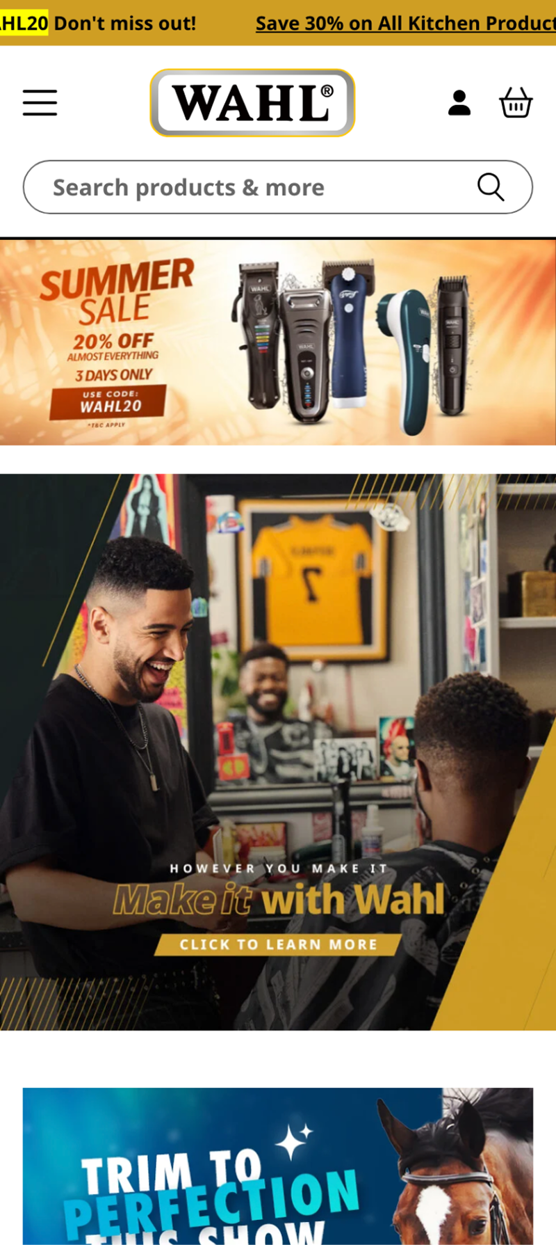 Wahl Homepage before